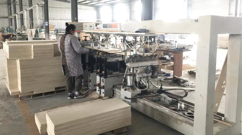 Qingdao Vitalucks Trade Co., Ltd. производственная линия завода