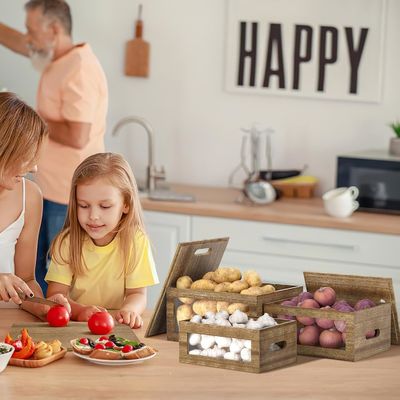 Держите свою кухню в порядке с помощью этого акрилового прозрачного контейнера для чеснока