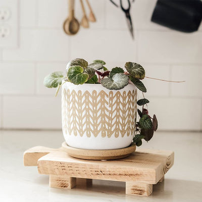 Материал растительного масла Деревянный пьедестальный стенд Дисплейная палитра