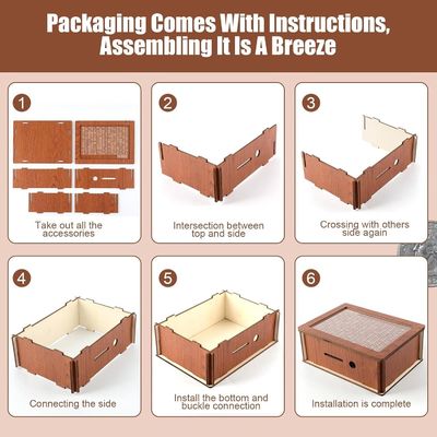 OEM/ODM Приемлемое деревянное денежное сбережение Сберегатель денег с натуральным цветом и стандартами