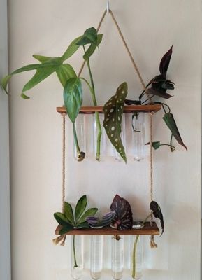 202407 Растительная размножительная станция для гидропоники OEM для вазовых растений