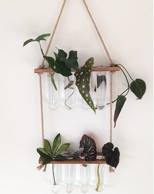 202407 Растительная размножительная станция для гидропоники OEM для вазовых растений