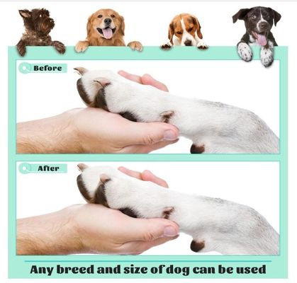 Сохранить время и пространство 202407 Доска для ногтей для собак