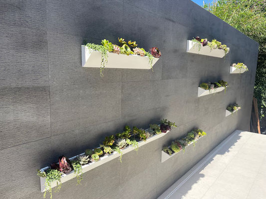 Длинный квадратный деревянный настенный плантатор для современного суккулентного дисплея в внутреннем наружном саду