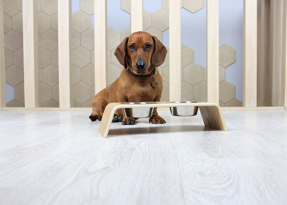 202407 Подарок для домашних животных Персонализированный деревянный столик с двумя стальными мисками