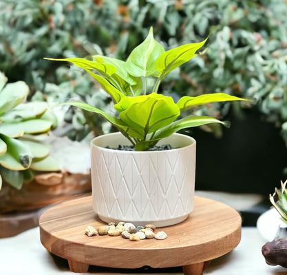 Акация деревянный подъемник круглый пьедестал подъемник доска деревянный пьедестал стойка для кухонного дисплея