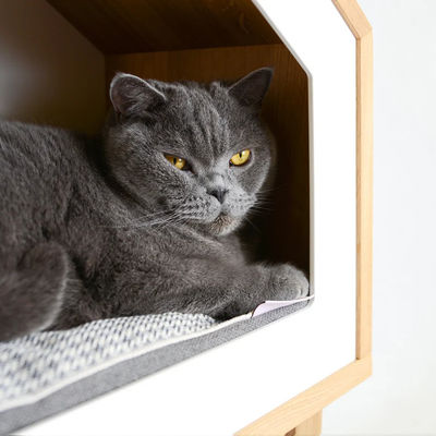 Дом для кошек в естественном дереве с контейнерами для хранения