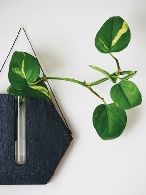 Модернный мини деревянный коробка стенный плантатор для крыльца и стены украшения горшки