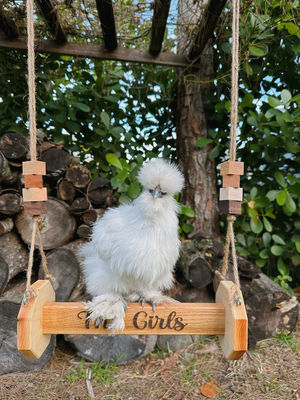 Куриные игрушки Стенный кошачий козырь Подходит для кошек и животных