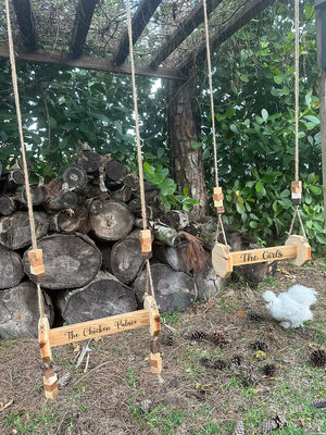 Куриные игрушки Стенный кошачий козырь Подходит для кошек и животных