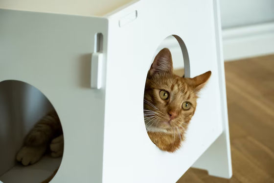 Деревянный стул Домашний прибор Современный крытый домашний питомец Клетка Дом для собак и кошек Гостиная