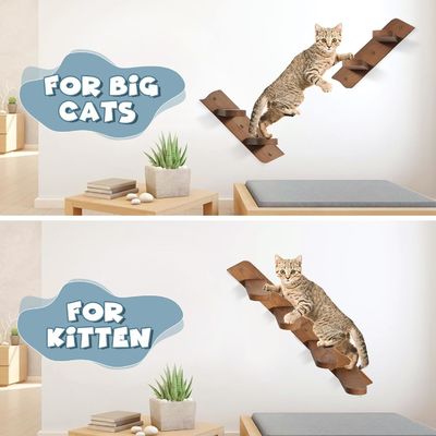 Попрощайтесь с беспорядочным полом Стенная полка для кошек с лестницей и двумя мисками