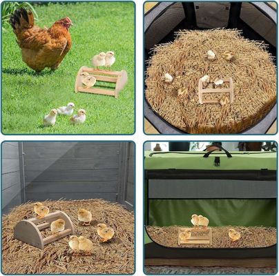 202405 Птичье косые сильные толстые деревянные стойки для копытов и гнездования долговечные