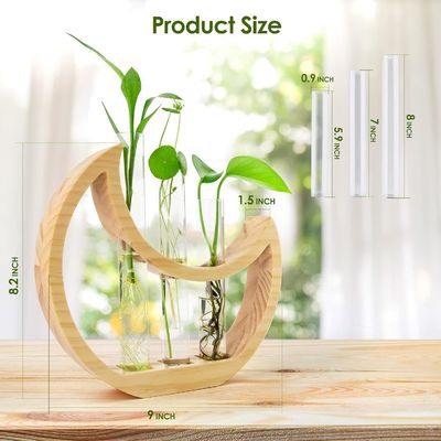 Годовщины полумесяца Столовой стенд для комнатных растений и офисного декора