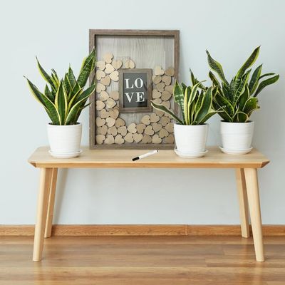 Дерево и стекло Романтическое украшение свадьбы на заказ с большим фото вставкой