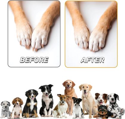 Домашняя деревянная ноготка для собак с коробкой с закусками