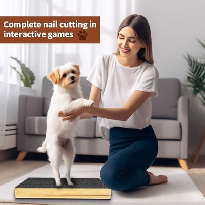 Скретч для кошек/собак с съемной крышкой и регулируемой ногтевой лентой под разным углом