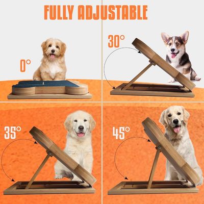 Доска для поцарапания ногтей собак с коробкой с угощениями Костная подошва для поцарапания ногтей