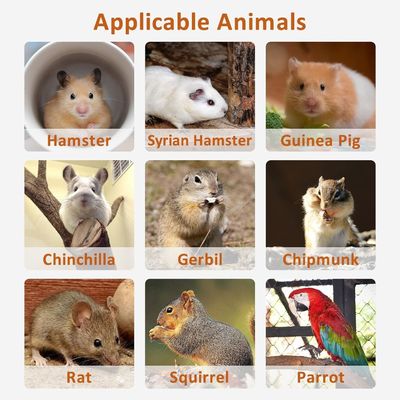 Платформа для хомяков, стоящая, упражнения, игрушки, клетки, аксессуары с подъемным закрытием