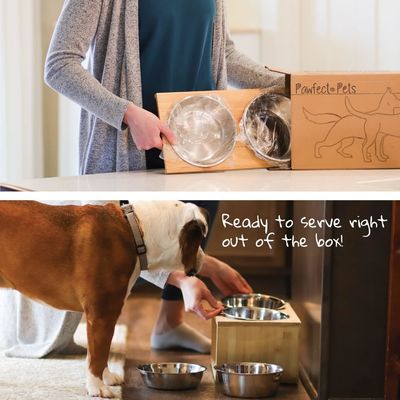 Средняя собака поднятая чашка 7 поднятых чашек кормильщик для домашних животных с четырьмя чашами из нержавеющей стали