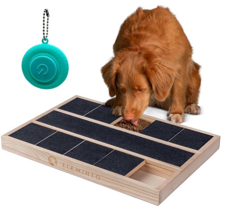 OEM деревянная коробка для ногтей собак с разделителем пищи